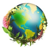 Chrysalis Natural Medicine - Yoga in Wilmington