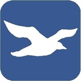 Avalon Dental - Dentists in Wilmington