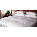 Midwest Feather & Down - Other in Lewes