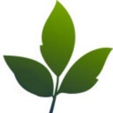 Betrulywell Chiropractic & Day - Chiropractors in Newark