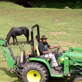 Guided For Site - Other in Hockessin