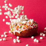 Fractured Prune - Other in Rehoboth Beach