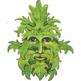 Greenman Juice Bar & Bistro - Other in Rehoboth Beach