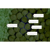 MIECO - Manufacturer in Wilmington