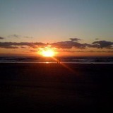 Divinity Press - Other in Bear