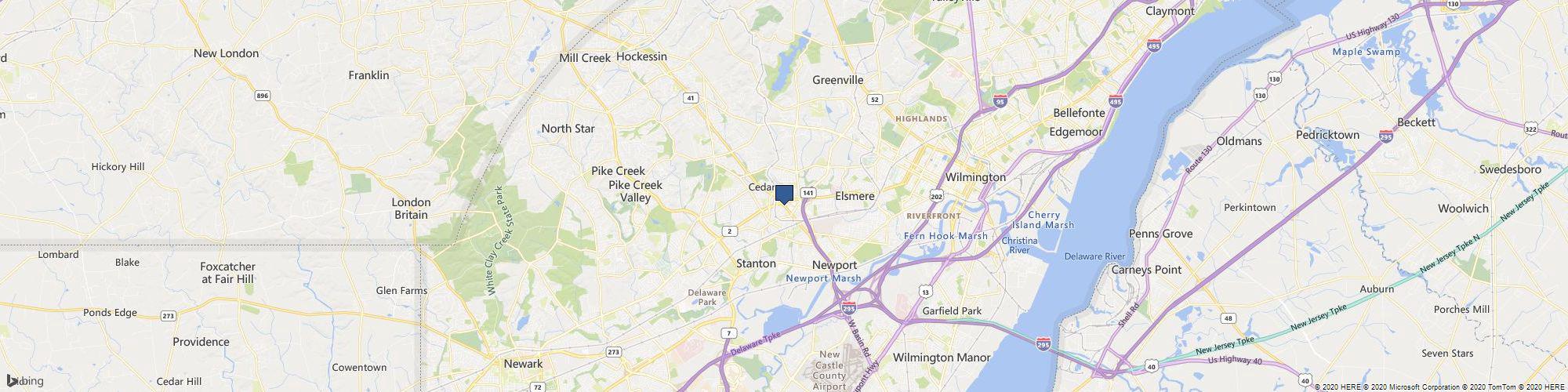 Ramones Flowers cover photo