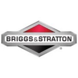Briggs & Stratton Corporation - Manufacturer in Suwanee