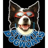 Atlanta Dogworks - Other in Ball Ground