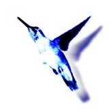 Redemption Accounting - Accountants in Jacksonville