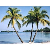 Mccormick Travel - Travel Agents in Snellville
