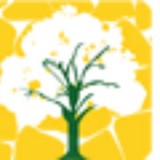 Upgrade Landscaping LLC - Landscape Architects