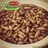 Hardy Farms - Other in Hawkinsville