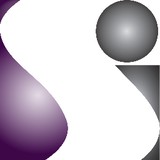 Soft Intelligence Inc - Business Consulting in Roswell