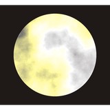 Full Moon Sales Inc - Other in Braselton