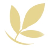 Alexander Chiropractic Center - Chiropractors in Lawrenceville