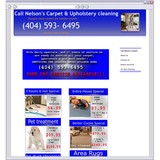 Nelson's carpet cleaning - Carpet Cleaning in Atlanta