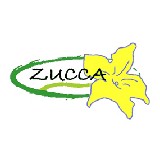 Zucca Bar & Pizzeria - Pizza in Kennesaw
