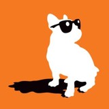 Dog Days - Animal Boarding/Pet Boarding in Atlanta