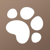 Nelson Matthew J DVM - Veterinarians/Vets in Marietta