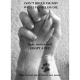 Perfect Pets Rescue - Pet Stores in Atlanta