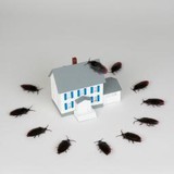 Baird's Pest Control Llc - Pest Control in Valdosta