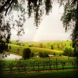 Crane Creek Vineyards - Other in Young Harris
