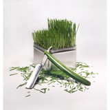 Eagle Lawn Service,Inc. - Landscape Architects in Palmetto