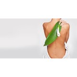 Kuhlman Chiropractic - Chiropractors in Atlanta