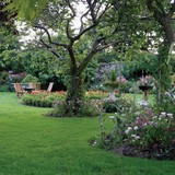 TurfPride Inc. - Lawn Services in Kennesaw