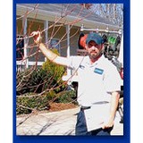NiceLawns Inc - Lawn Services in Dallas