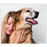 Furry Friends Gentle Pet Groom - Pet Groomers in Woodstock