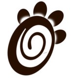 Spot Society - Adoption Services in Atlanta