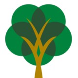 Skinner Barndollar & Lane - Accountants in Savannah