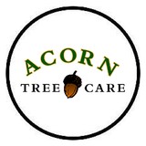 Acorn Tree Care - Tree Services in Roswell
