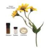 Homeopathy : The Fitness Mantra - Alternative Medicine in Marietta