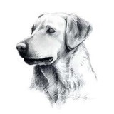 Bailey's Choice - Other in Waleska