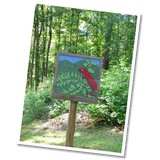 Blue Ridge Outdoor Educational - Other in Toccoa