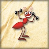 Divine Team Pest Mgmt - Pest Control in Lawrenceville