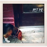Inman Park Pet Works - Pet Stores in Atlanta