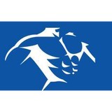 Tailor Made Fitness - Gyms in Decatur