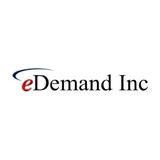 eDemand Inc - Business Consulting in Roswell