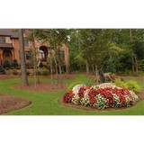 Unlimited Lawncare - Lawn Services in Alpharetta