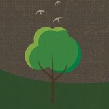 Cumming Lawn Service - Lawn Services