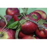 Heirloom Cafe & Fresh Mkt LLC - Restaurants in Athens