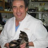 Eck Tamara DVM - Veterinarians/Vets in Marietta