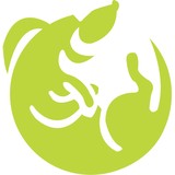 Happy Dog Studios - Advertising in Fayetteville