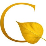 Goldleaf Data Corporation - Marketing in Suwanee