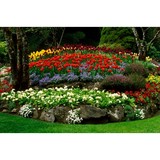 King Green - Lawn Services in Ball Ground