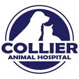 Collier Animal Hospital - Veterinarians/Vets in Atlanta