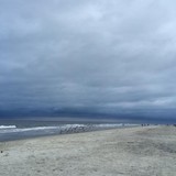 Pacific Publishers LLC - Other in Tybee Island
